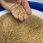 photo-feb-21-2026-4-44-11-pm