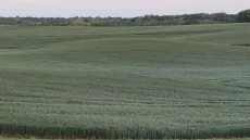 photo-apr-21-2026-6-18-46-am