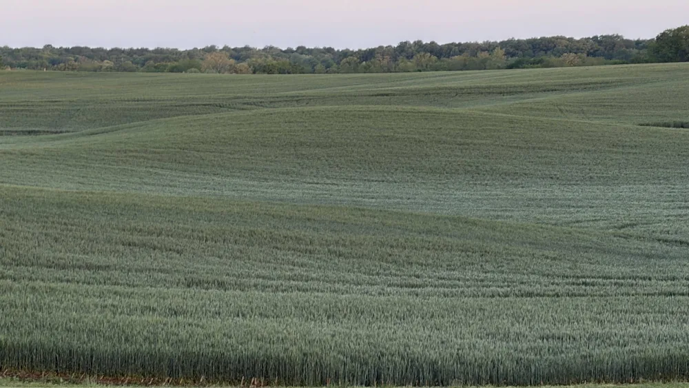 photo-apr-21-2026-6-18-46-am