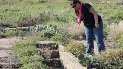 Volunteers searched across Brown County Sunday looking for any