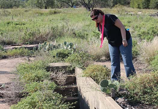 Volunteers Search Sunday for Michele Reiter Brownwood News