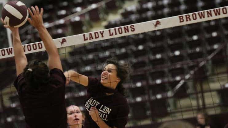 lady-lions