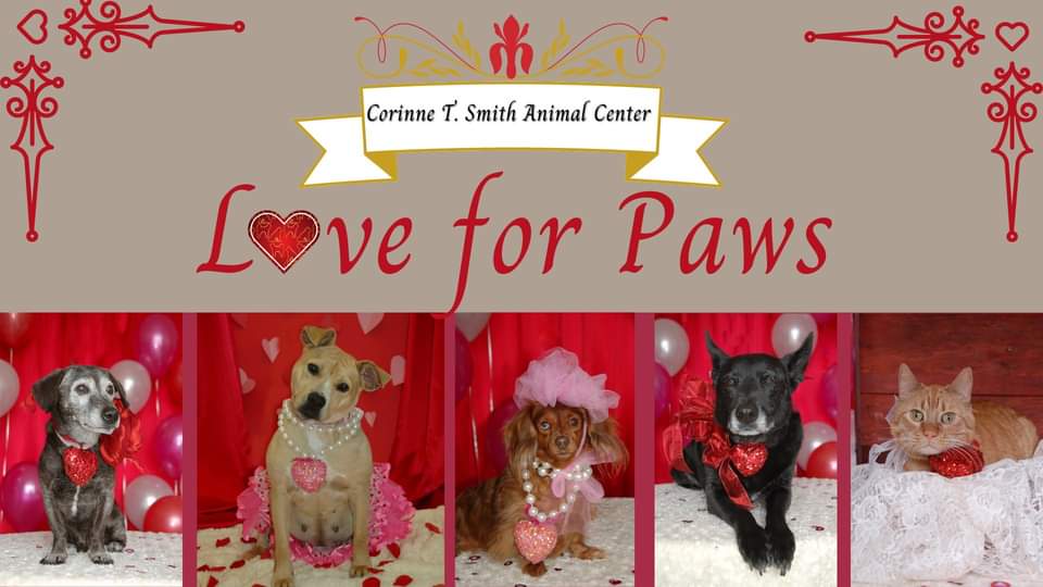 Love for Paws scheduled for Feb. 13 Brownwood News
