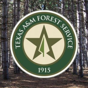 texas-forest-service