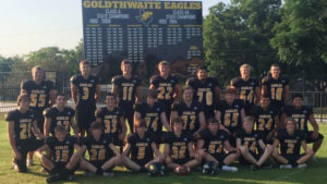 goldthwaite-eagles-2
