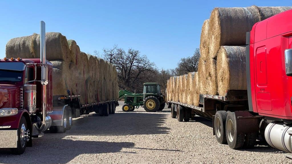 Victims of Coleman County fires recipients of hay, cattle feed from East Texas - Vimarsana News