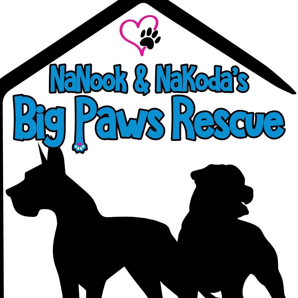 NaNook & NaKoda’s Big Paws Rescue