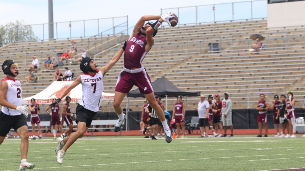 State-bound 7-on-7 Lions rebound with 2-1 effort at home - Vimarsana News