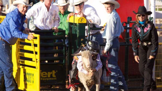 Coleman PRCA Rodeo kicks off three-night run Thursday - Vimarsana News
