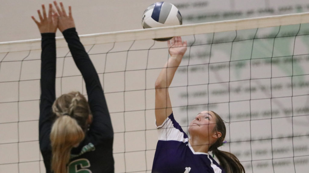 Early takes down Bangs in four sets in season opener - Vimarsana News