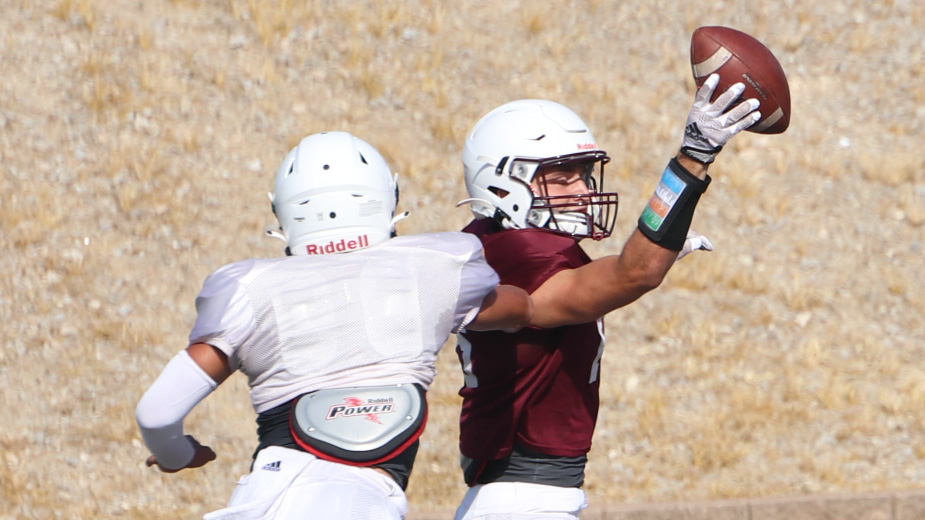 Lions to receive early test from Region I in initial scrimmage against Decatur - Vimarsana News
