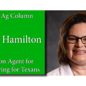wendy-hamilton-ag