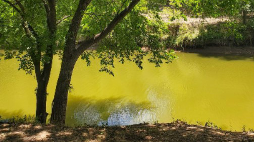 screenshot-2022-09-01-073750_edited