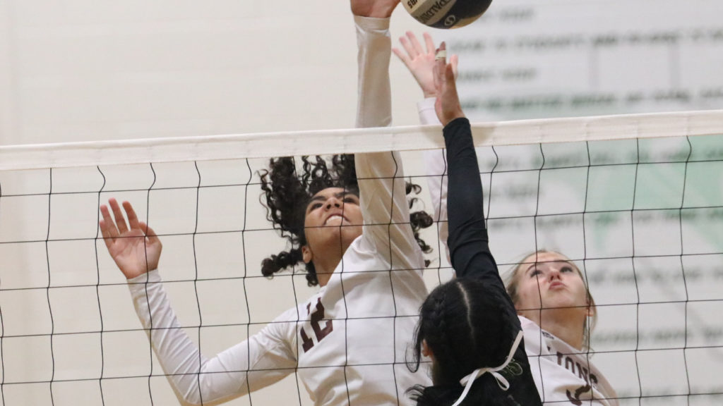 Lady Lions stave off Lady Dragons for five-set road triumph - Vimarsana News