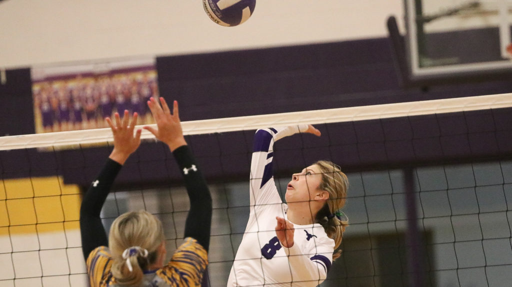 Early volleyball drops straightset district match to Dublin