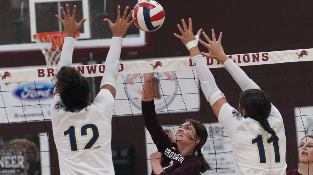 Lady Lions tripped up by district leader Stephenville - Vimarsana News