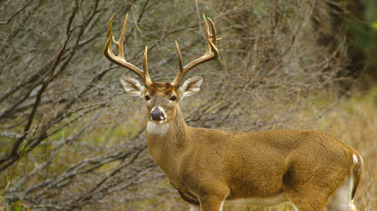 Several Hunters Appreciation events lined up this weekend - Vimarsana News