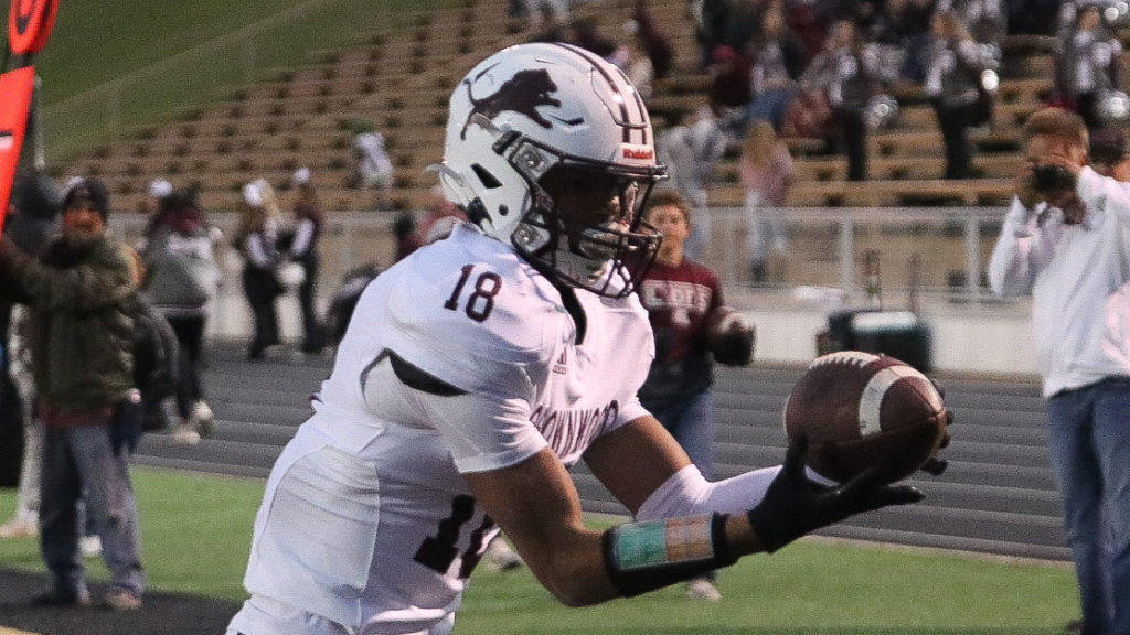 No. 8 Lions' quest for long postseason run begins with El Paso Irvin - Vimarsana News