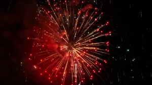 dji_0656-edit_edited