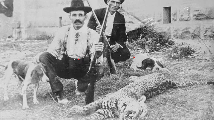 screenshot-2023-08-02-233004_edited