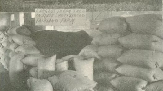 screenshot-2023-08-24-001050_edited