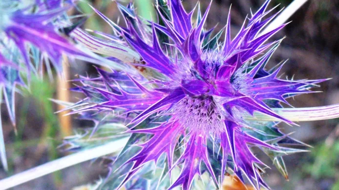 screenshot-2023-09-21-003208_edited