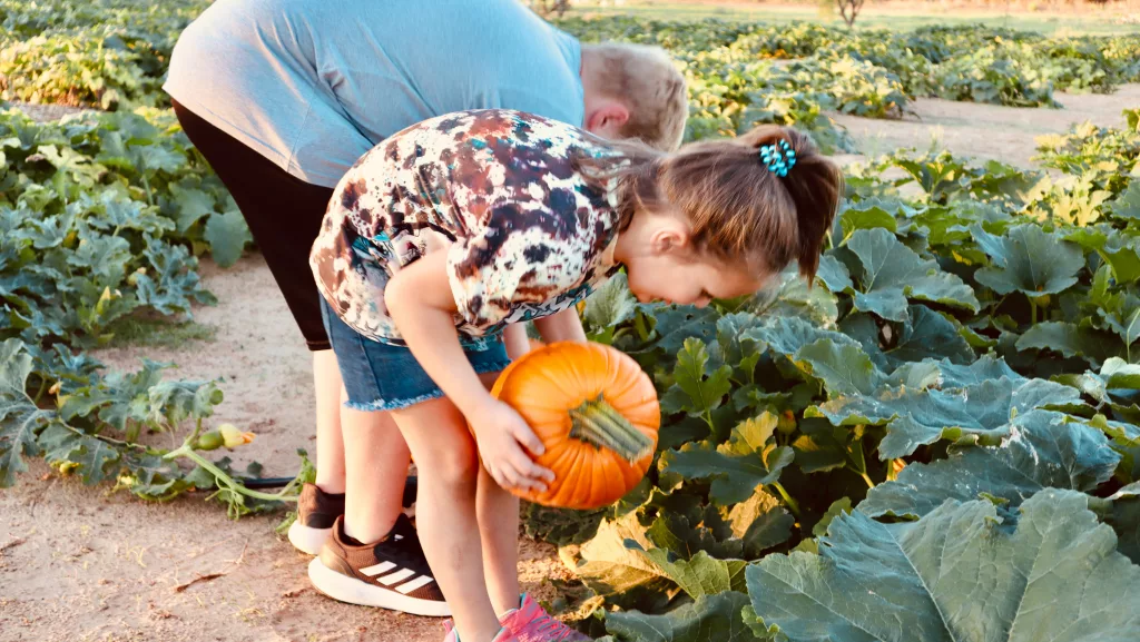 TLC Pumpkin Patch offers fun for the entire family - Vimarsana News