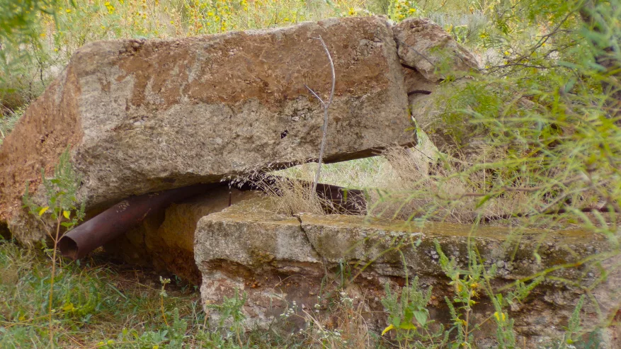 screenshot-2023-10-26-055426_edited