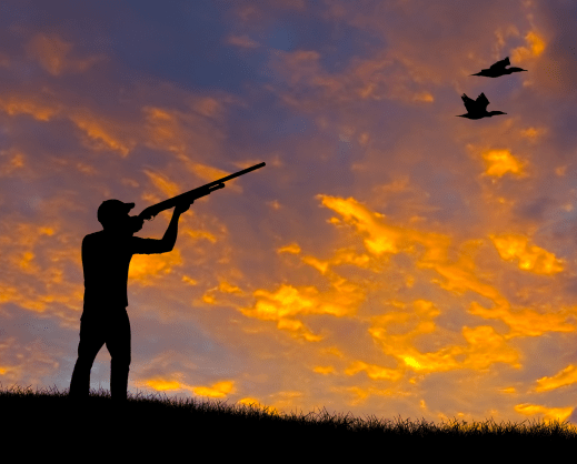 Waterfowl Seasons Open Soon - Vimarsana News