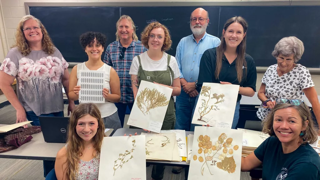HPU digitizes over 3,800 new specimens in its herbarium - Vimarsana News