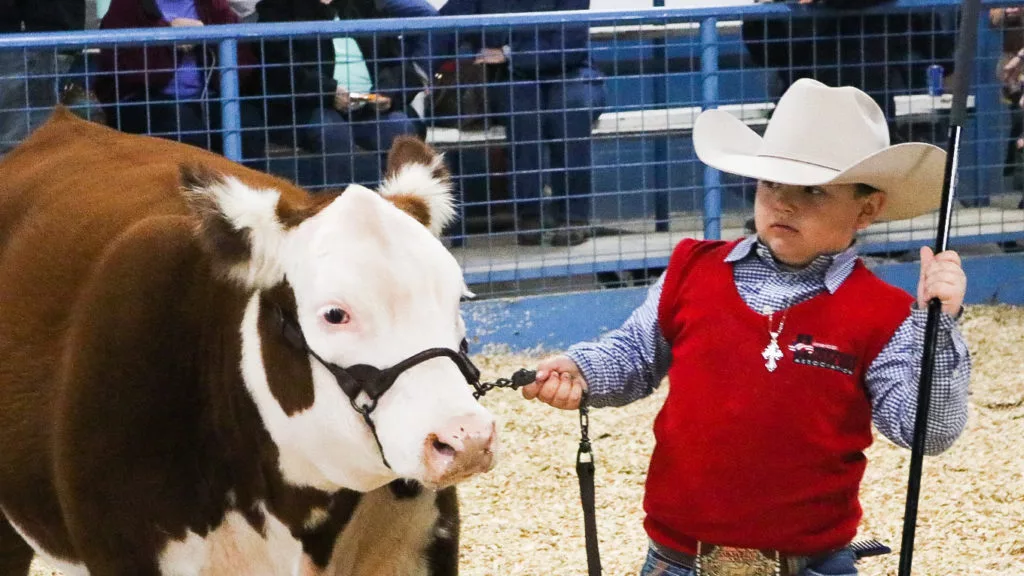 2024 Brown County Youth Fair Schedule Brownwood News