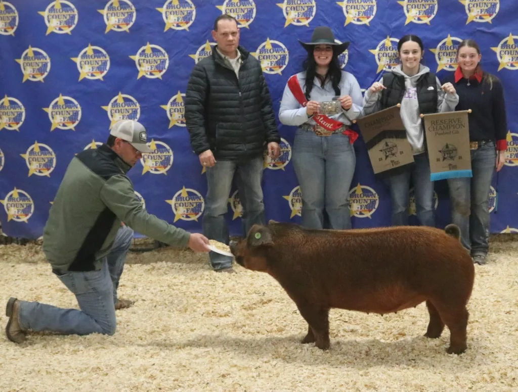 BCYF 2024: Breeding Gilt Results | Brownwood News