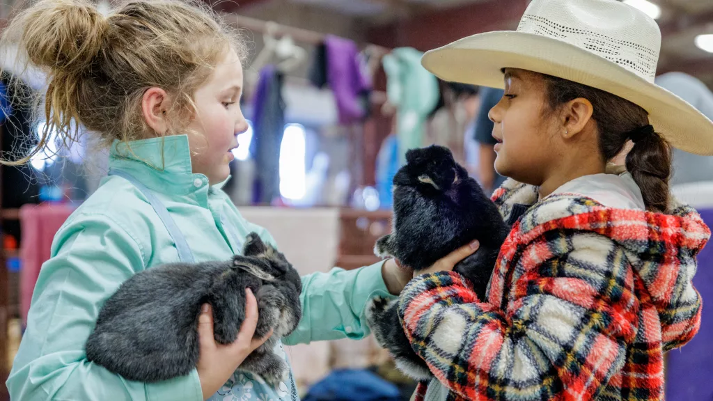 BCYF 2024: Rabbits PHOTO GALLERY | Brownwood News