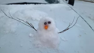 419892447_10107850491888375_1062416916576732218_n-1_edited