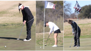 screenshot-2024-02-19-155027