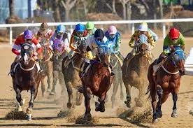 horse-race-photo