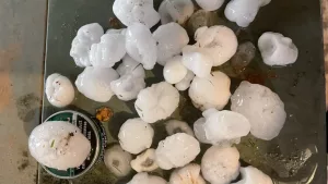 444192828_10233972387036416_1255362784025198812_n_edited1