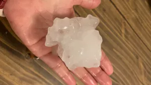 woodland-heights-lerin-pena_edited