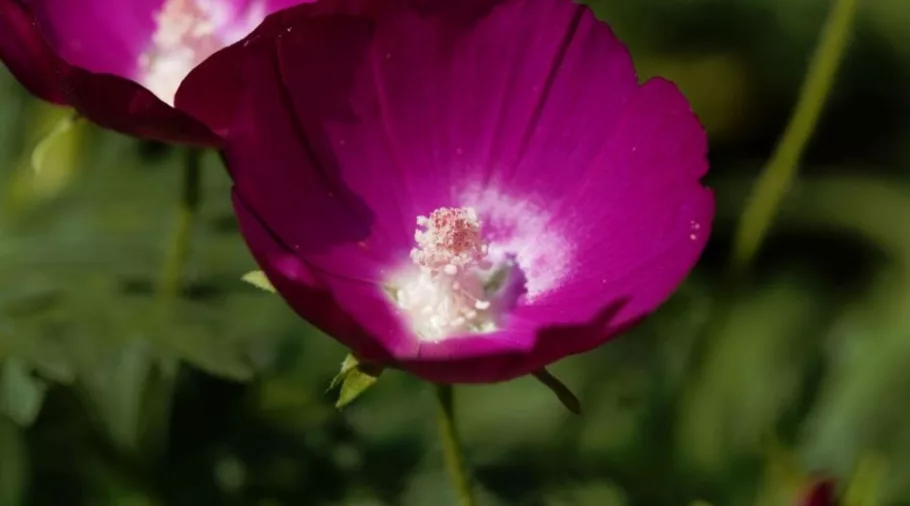 434866043_819875040168136_6448916613282051158_n-2