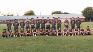 san-saba-armadillos-3