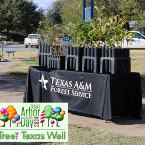 texas-arbor-day-tree-giveaway