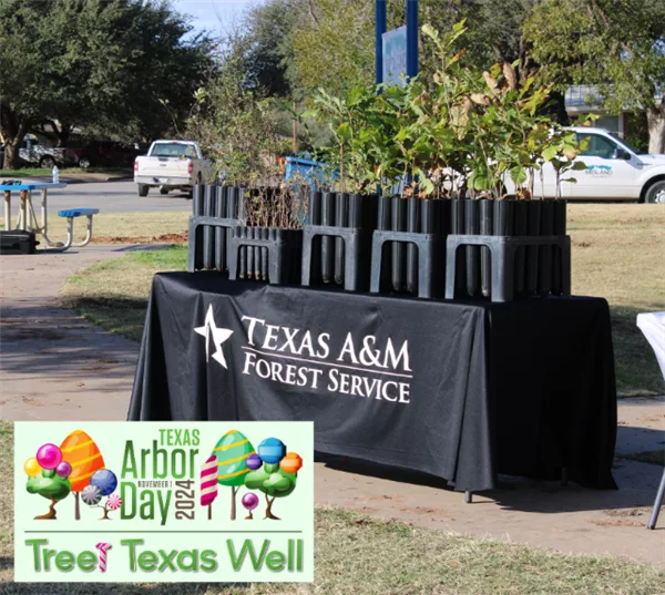 texas-arbor-day-tree-giveaway