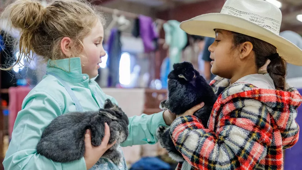 2025 Brown County Youth Fair Schedule Brownwood News