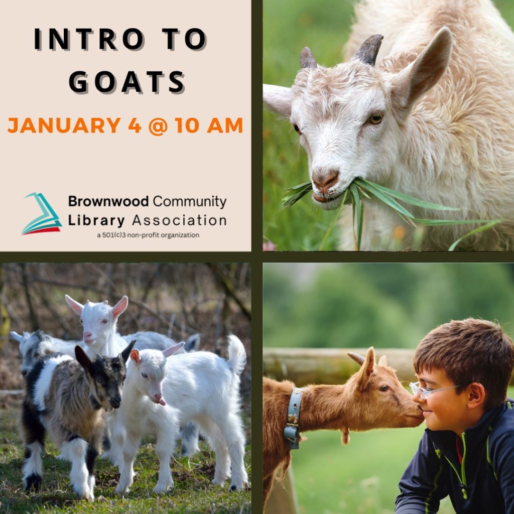 Brownwood Community Library to host 'Intro to Goats' Homesteading ...