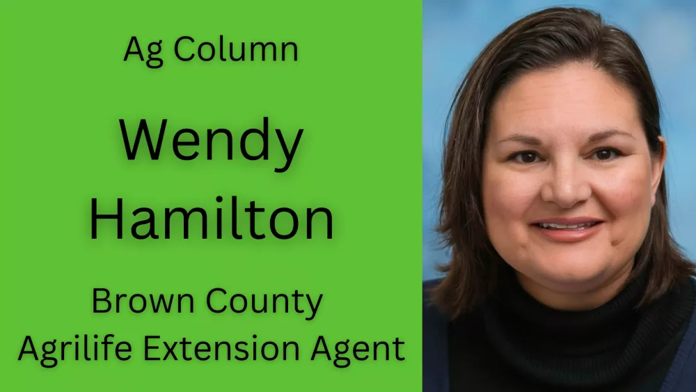 wendy-hamilton-ag-25