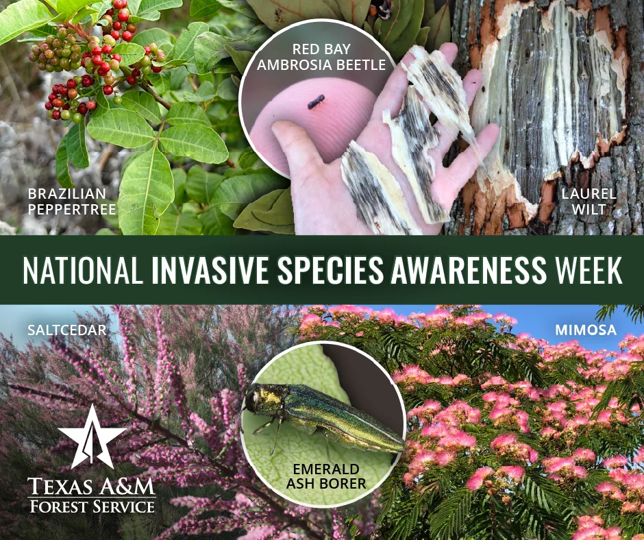 nationalinvasivespeciesawarenessweek