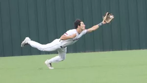 img_2501_edited_edited