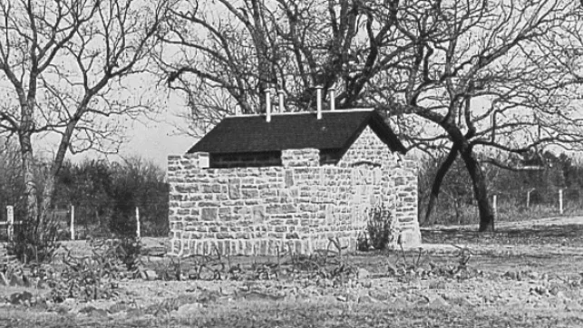 screenshot-2025-05-21-205033_edited