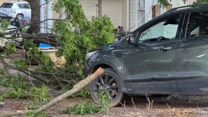 1000003222_edited_edited