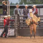 p6050905-enhanced-nr